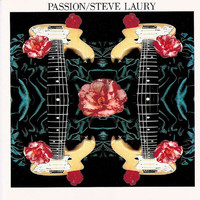 Steve Laury - Passion