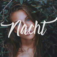 Shiba - Nacht