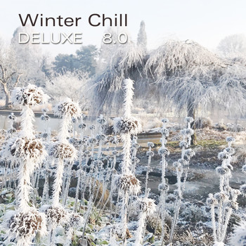 Various Artitsts - Winter Chill Deluxe 8.0