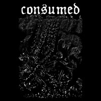 Consumed - CONSUMED