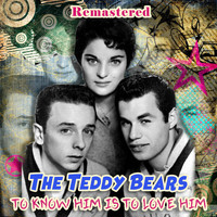 The Teddy Bears - To Know Him Is to Love Him (Remastered)