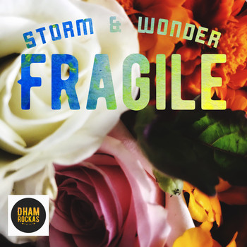 Storm & Wonder - Fragile