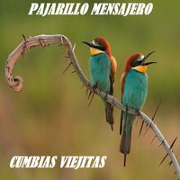 Cumbias Viejitas - Pajarillo Mensajero