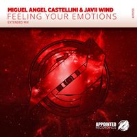 Miguel Angel Castellini & Javii Wind - Feeling Your Emotions