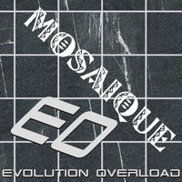 Evolution Overload - Mosaique