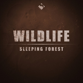 Wildlife - Sleeping Forest
