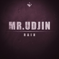Mr.Udjin - Rain