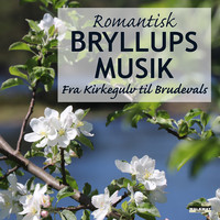 Budapest Art Orchestra - Romantisk Bryllupsmusik - Fra kirkegulv til Brudevals