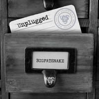 Big Fat Snake - Unplugged
