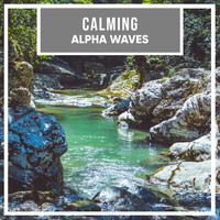 Binaural Reality, Binaural Beats Study Music, Binaural Recorders - #20 Calming Alpha Waves
