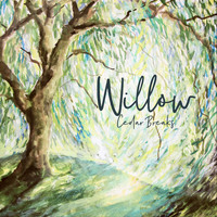 Cedar Breaks - Willow