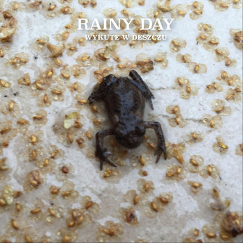 Rainy Day - Wykute W Deszczu