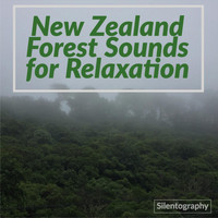 Silentography - New Zealand Forest Sounds for Relaxation