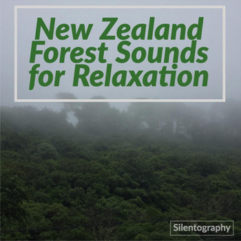 Silentography - New Zealand Forest Sounds for Relaxation
