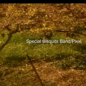 Stylianos M. Pananakis - Special Bisquits Band/Pixie