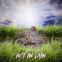 Cam - Not in Vain