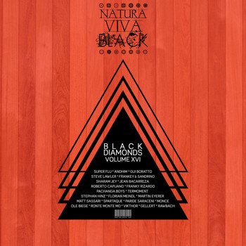 Various Artists - Black Diamonds, Vol. 16