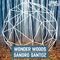 Sandro Santoz - Wonder Woods