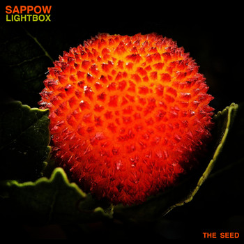 Sappow - Lightbox