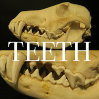Dark Arches - Teeth