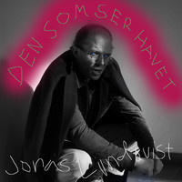 Jonas Lundqvist - Den som ser havet