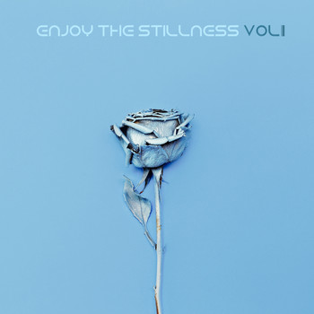 Various Artists - Enjoy The Stillness, Vol. 1