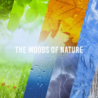 White Noise Research, Sounds of Nature Relaxation and Nature Sounds Artists - The Moods Of Nature