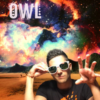 Owl - Lost in Imagination