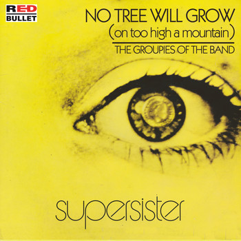 Supersister - No Tree Will Grow (On Too High A Mountain)