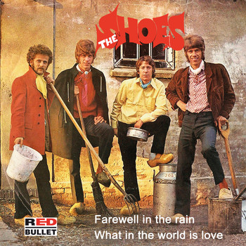 The Shoes - Farewell In The Rain