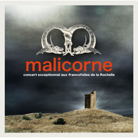 Malicorne - Concert exceptionnel aux Francofolies de La Rochelle 2010