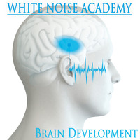 Zen Meditation and Natural White Noise and New Age Deep Massage & Deep Sleep Systems - White Noise Academy