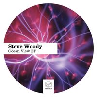 Steve Woody - Ocean View EP