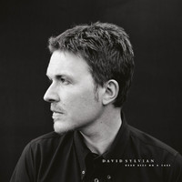 David Sylvian - Dead Bees On A Cake (Deluxe Edition)
