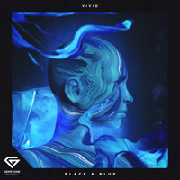 Vivid - Black & Blue