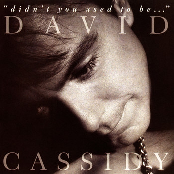 David Cassidy - Didn't You Used To Be...