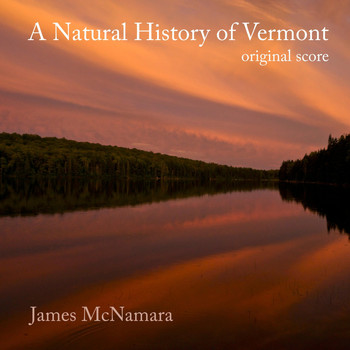 James McNamara - A Natural History of Vermont