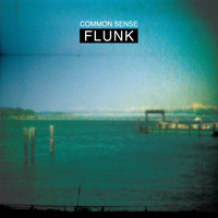 Flunk - Common Sense