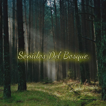 DJ Seven - Sonidos del Bosque