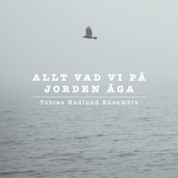 Tobias Hedlund Ensemble - Allt vad vi på jorden äga