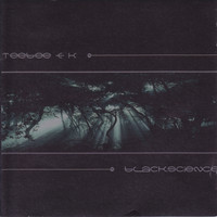 Teebee & K - Black Science