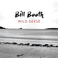 Bill Booth - Wild Geese