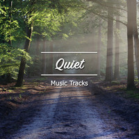 The Sleep Helpers, Serenity for Sleep, Deep Sleep Music Experience - #15 Quiet Music Tracks for Deep Sleep