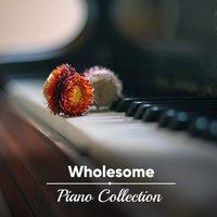 Piano Pianissimo, Exam Study Classical Music, Exam Study Classical Music Orchestra - #17 Wholesome Piano Collection