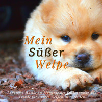 Pet Care Relaxing Companion - Mein Süßer Welpe: Langsame Musik, um Momente der Entspannung und Freude für Unsere Welpen zu Begleiten