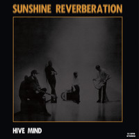 Sunshine Reverberation - Hive Mind