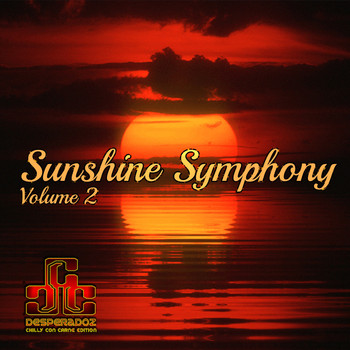 Various Artist - Sunshine Symphony Vol.2