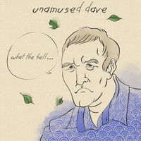 Unamused Dave - What the Hell