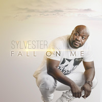 Sylvester - Fall on Me (Live)