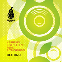 Vengerov & Karpekin - Destiny